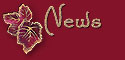 Christmas#1 updates button
