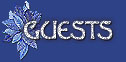 Christmas#2 guestbook button