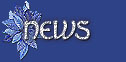 Christmas#2 news/updates button