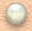 Coral Fantasy large bullet