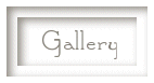 Now, Cut It Out! gallery button