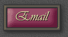Executive Suite email button