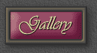 Executive Suite gallery button