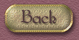 Jerusalem back button
