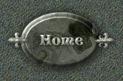 onyx overload home button