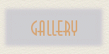 Bubbly gallery button