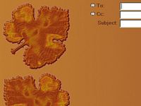 Autumn Leaves (Public version)